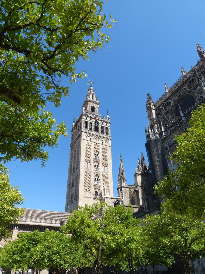 Hostly Acetres 1A Loft In City Center, Comunal Terrace, Fibre,Parking Optional Sevilla Exterior foto